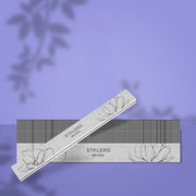 STALEKS EXPERT 20 Mineralinė tiesi nagų dildykla, 80/100 gritys (25 vnt.)