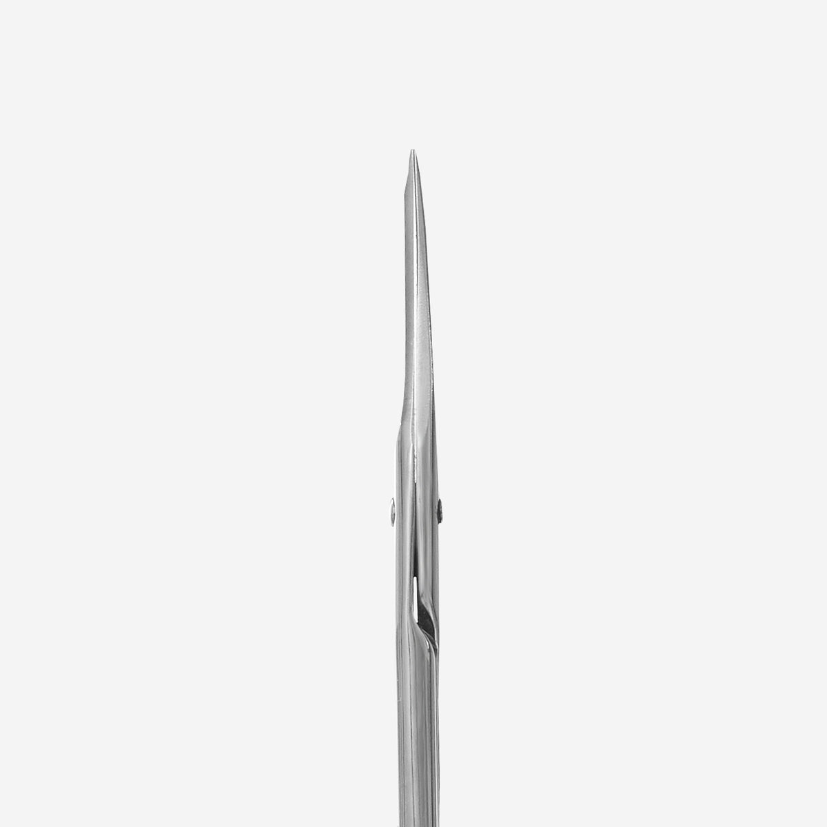 STALEKS CLASSIC 31 TYPE 1 Straight multipurpose scissors
